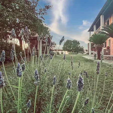 Leventoxori Ilias With Sea View 05 *