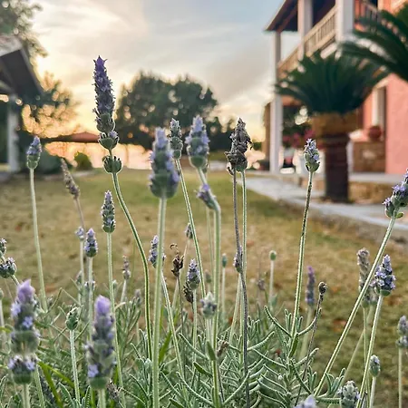 Leventoxori Ilias With Sea View 05 Appartamento