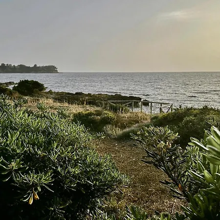 Leventoxori Ilias With Sea View 05 Apartment