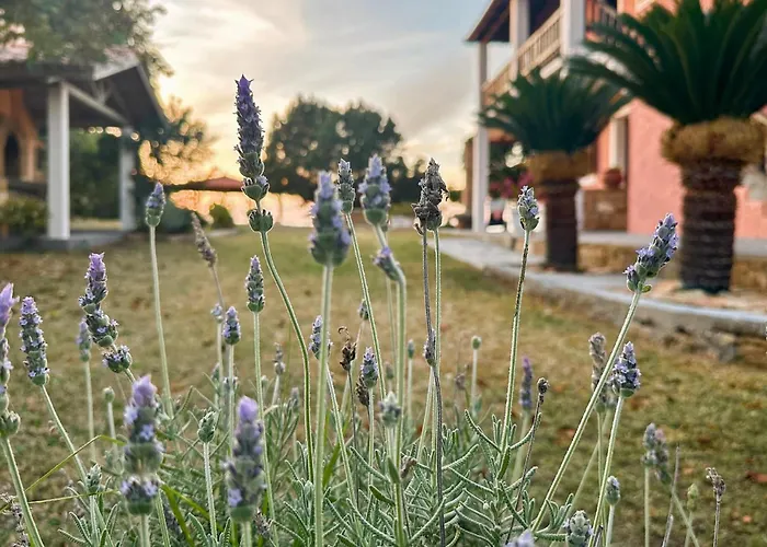 Leventoxori Ilias With Sea View 05 Apartamento